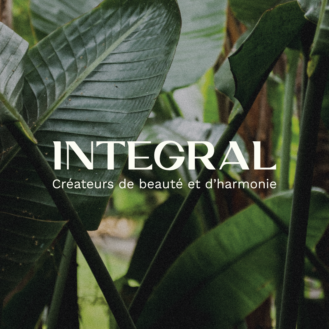 Integral logo
